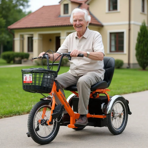 250W Mobility Scooter For Elderly With Basket 3 Wheel Electric Tricycle - Mobility Buy