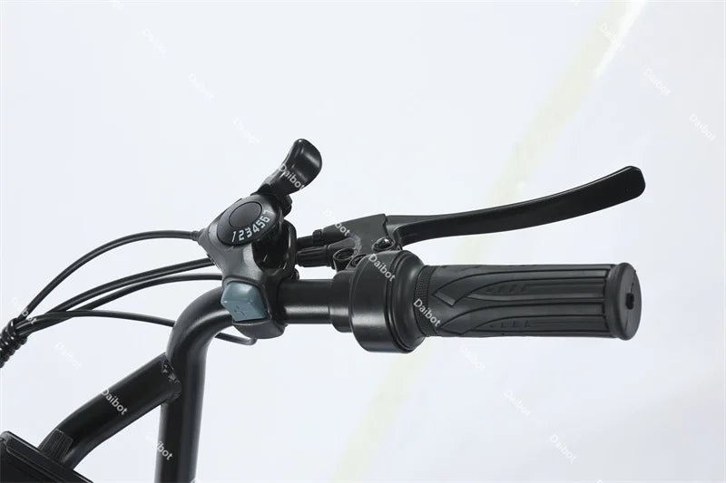 3 Wheel Electric Folding Bicycle Folding Bike Battery - MobilityBuy.com 