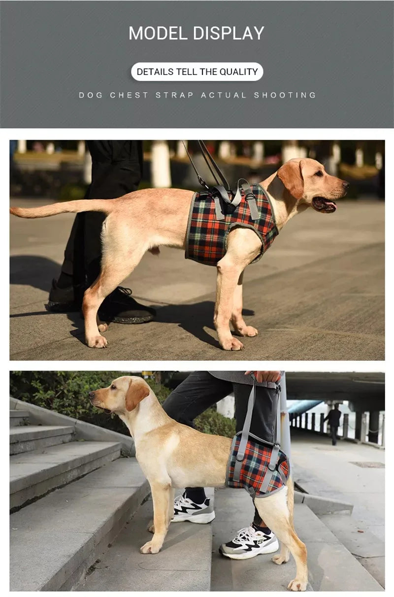 Dog Support Harness For Back And Front Legs Lift Rehabilitation Adjustable - MobilityBuy.com 