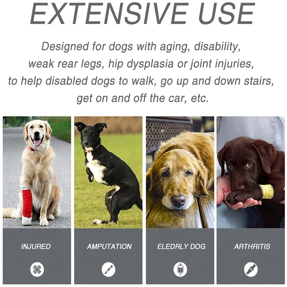 Dog Support Harness For Back And Front Legs Lift Rehabilitation Adjustable - MobilityBuy.com 