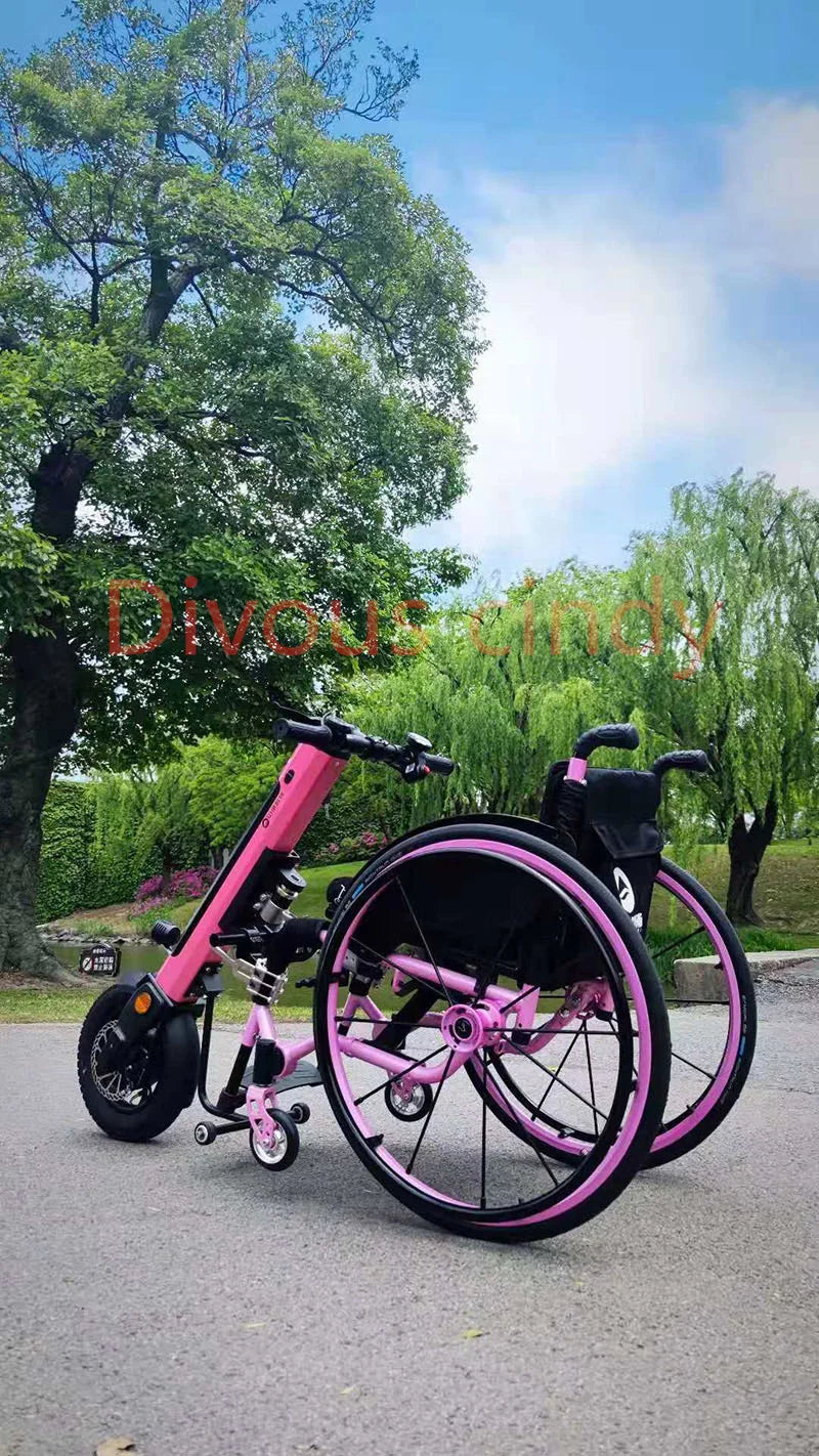 Sport Manual wheelchair  Electric Handbike - MobilityBuy.com