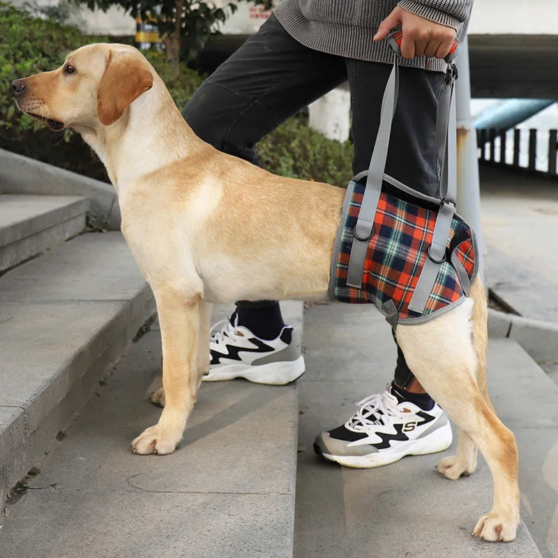 Dog Support Harness For Back And Front Legs Lift Rehabilitation Adjustable - MobilityBuy.com 