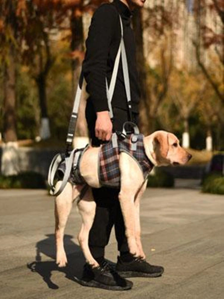 Dog Support Harness For Back And Front Legs Lift Rehabilitation Adjustable - MobilityBuy.com 
