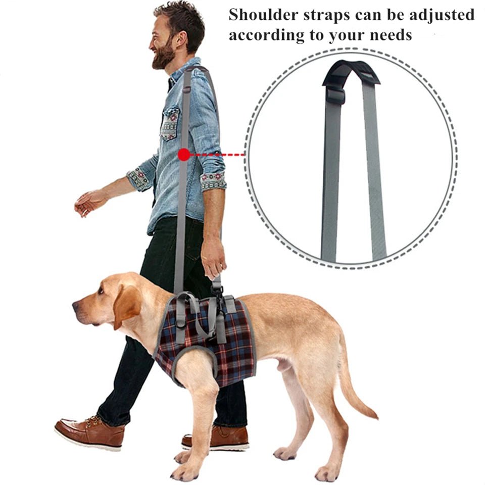 Dog Support Harness For Back And Front Legs Lift Rehabilitation Adjustable - MobilityBuy.com 