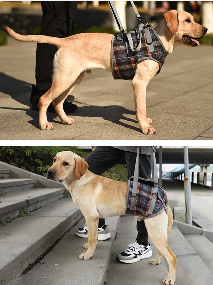 Dog Support Harness For Back And Front Legs Lift Rehabilitation Adjustable - MobilityBuy.com 