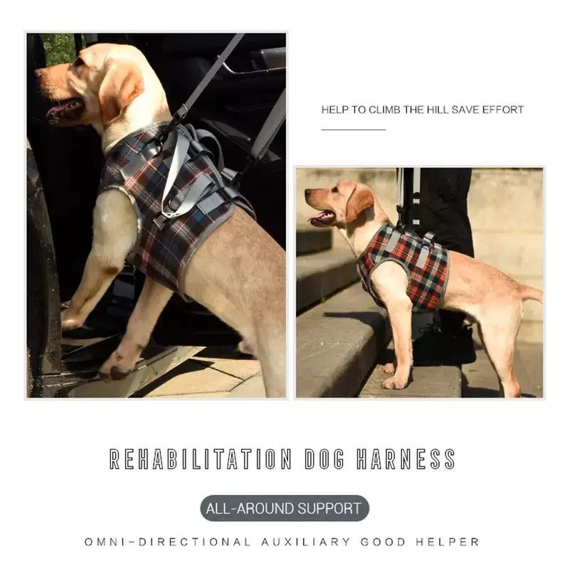 Dog Support Harness For Back And Front Legs Lift Rehabilitation Adjustable - MobilityBuy.com 