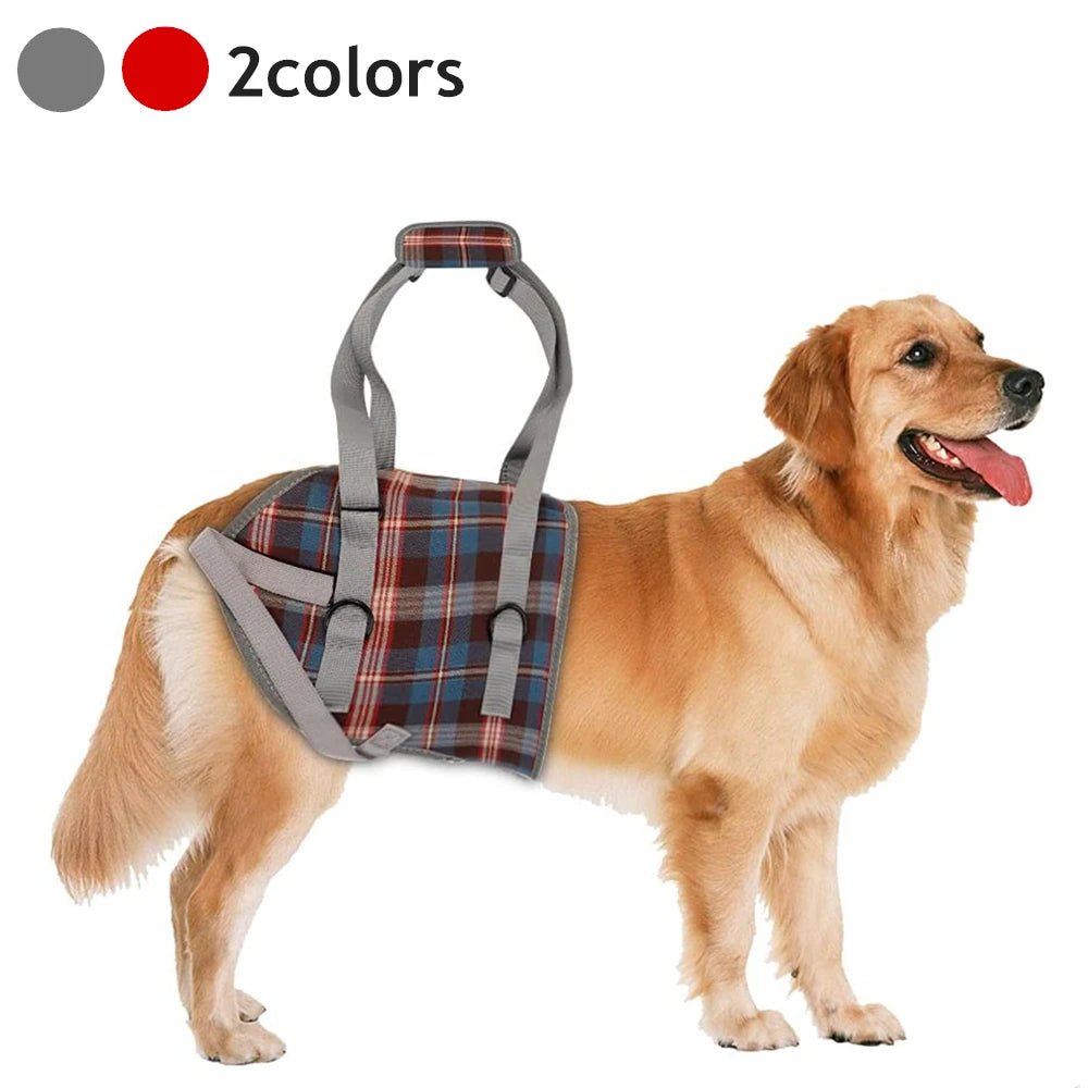 Dog Support Harness For Back And Front Legs Lift Rehabilitation Adjustable - MobilityBuy.com 