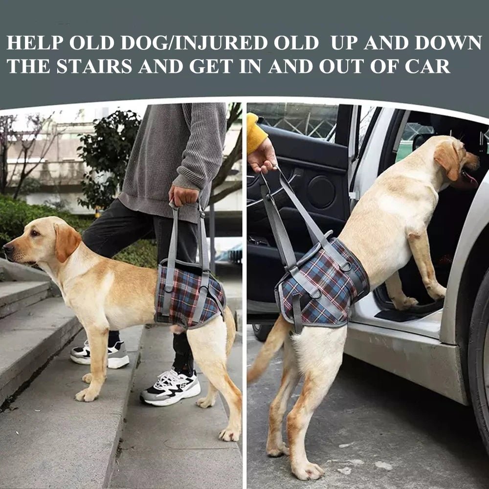 Dog Support Harness For Back And Front Legs Lift Rehabilitation Adjustable - MobilityBuy.com 