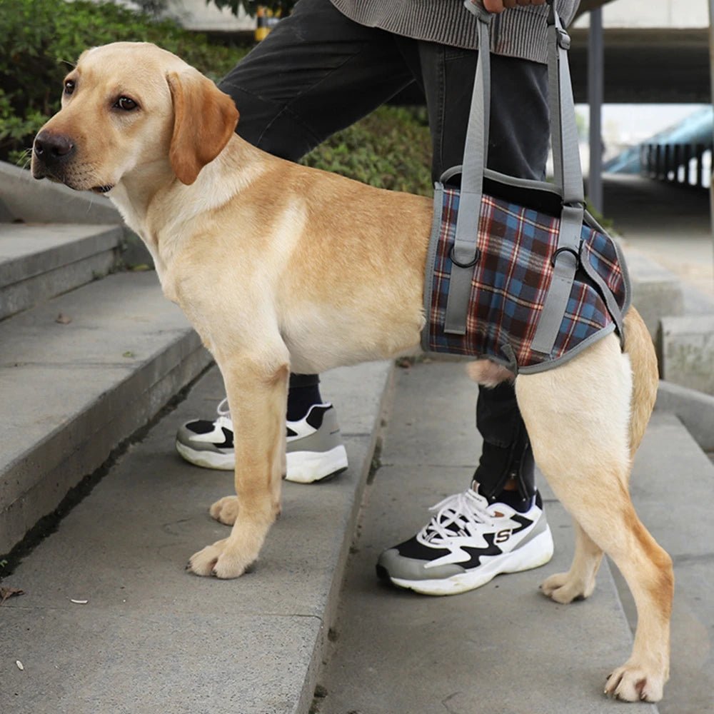 Dog Support Harness For Back And Front Legs Lift Rehabilitation Adjustable - MobilityBuy.com