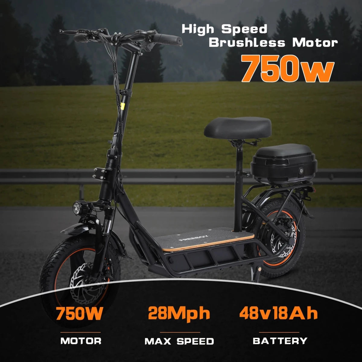 Freeboy H14 Foldable Adult Electric Scooter 750W 48V 18Ah Battery 14 Inch Tire - MobilityBuy.com 